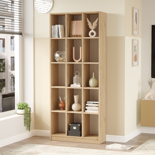 BIBLIOTHEQUE LI2-S