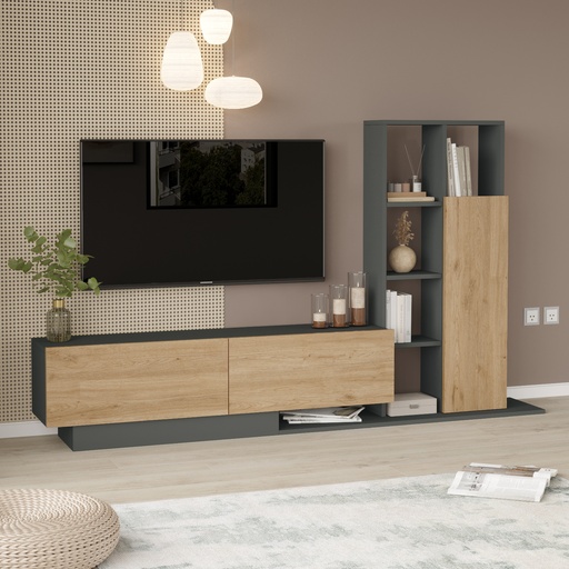 TABLE TV AVEC COLONNE BE1-SA CHENE GRIS
