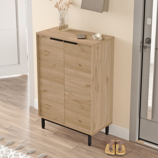 MEUBLE CHAUSSURE AG1-S