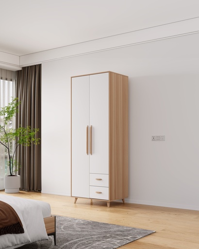 ARMOIRE  BOIS 2P/2T800X2000X500  8019-2